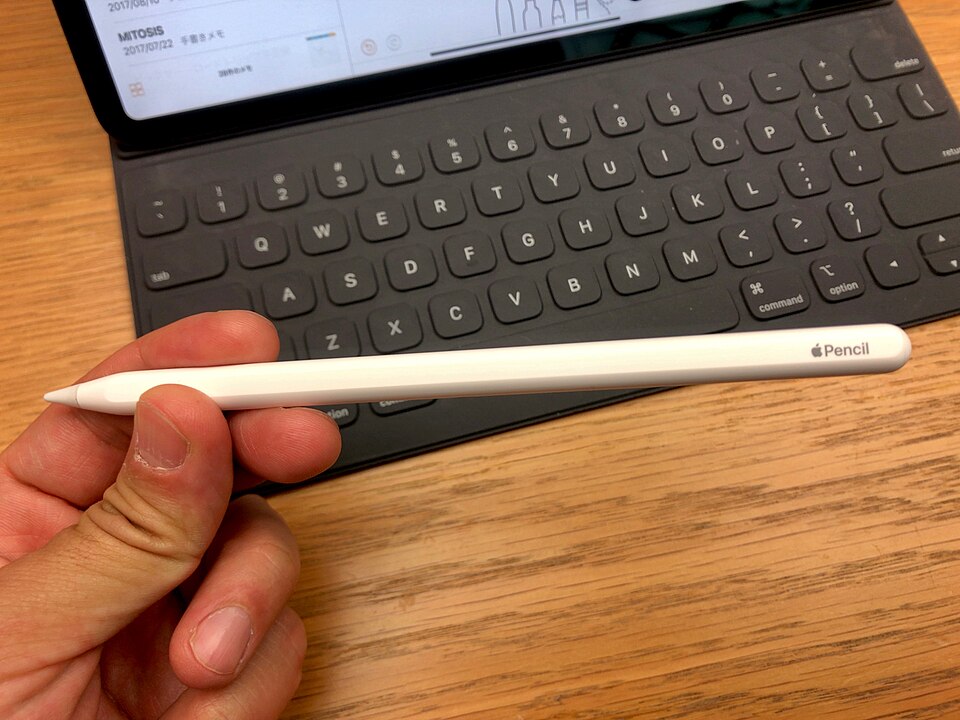 Apple Pencil крупным планом — стилус Apple для письма, рисования и разметки документов на iPad